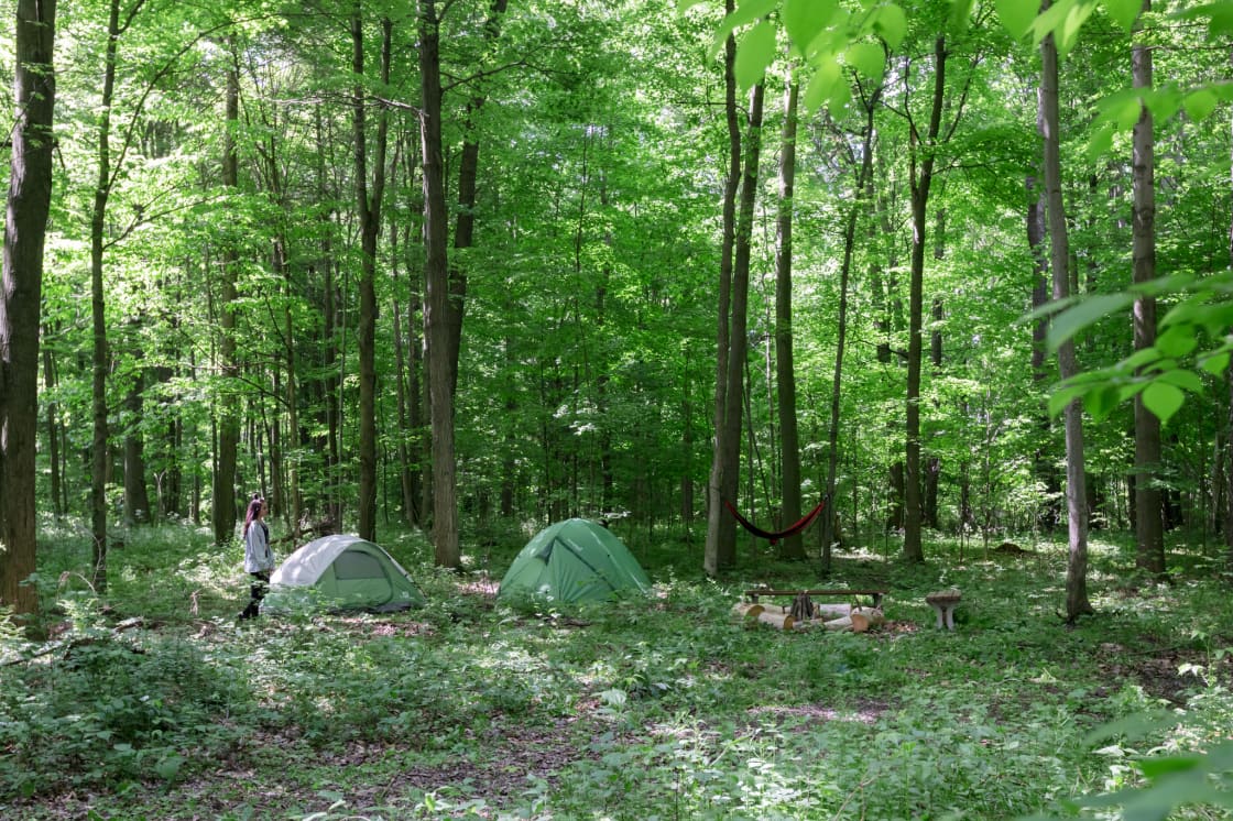 The sites are spacious, often with space to set up 2-3 tents.
