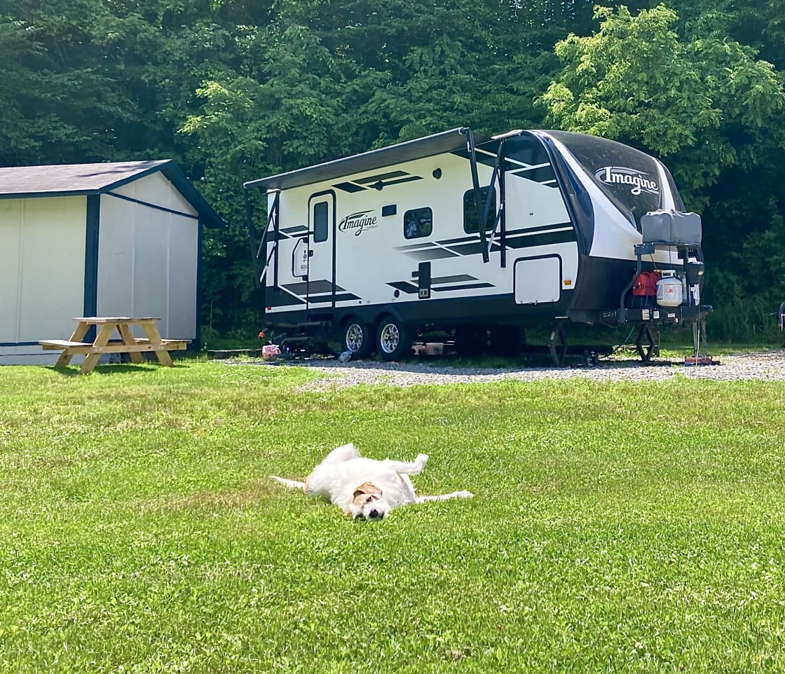 Our doggo LOVED the big grassy lawn right in front of our rig 
