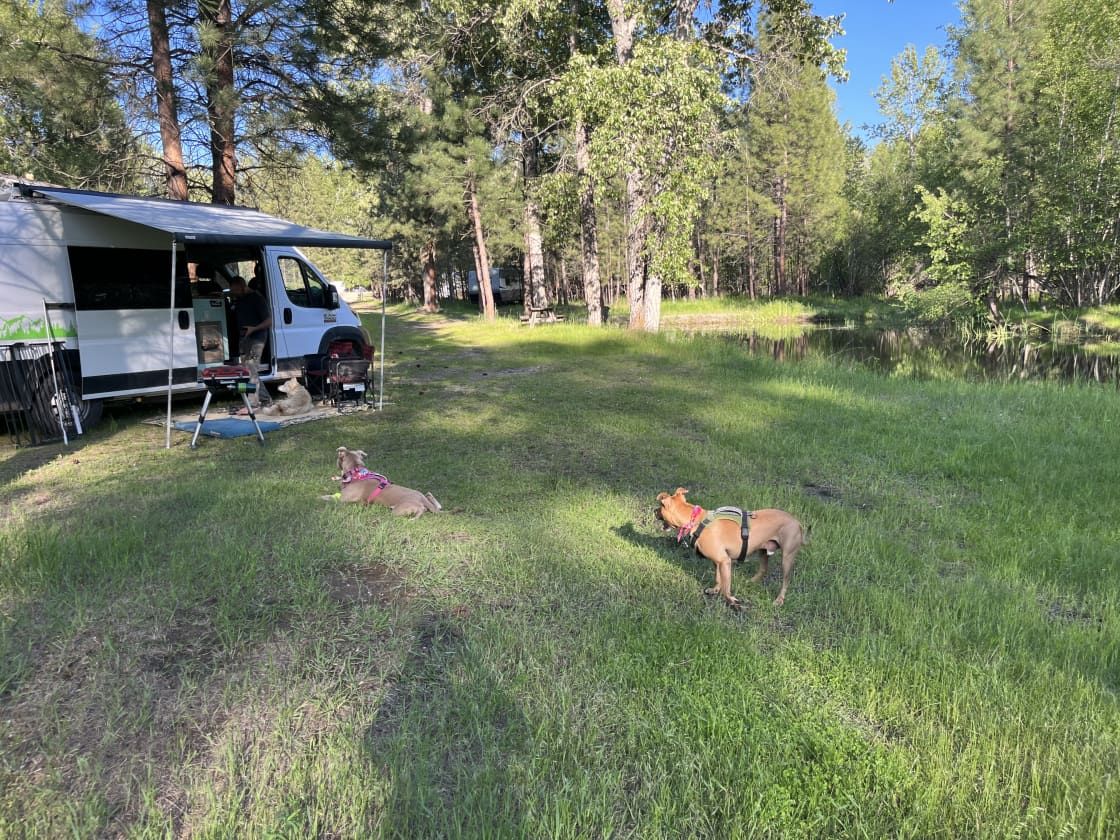 God's Country Camping