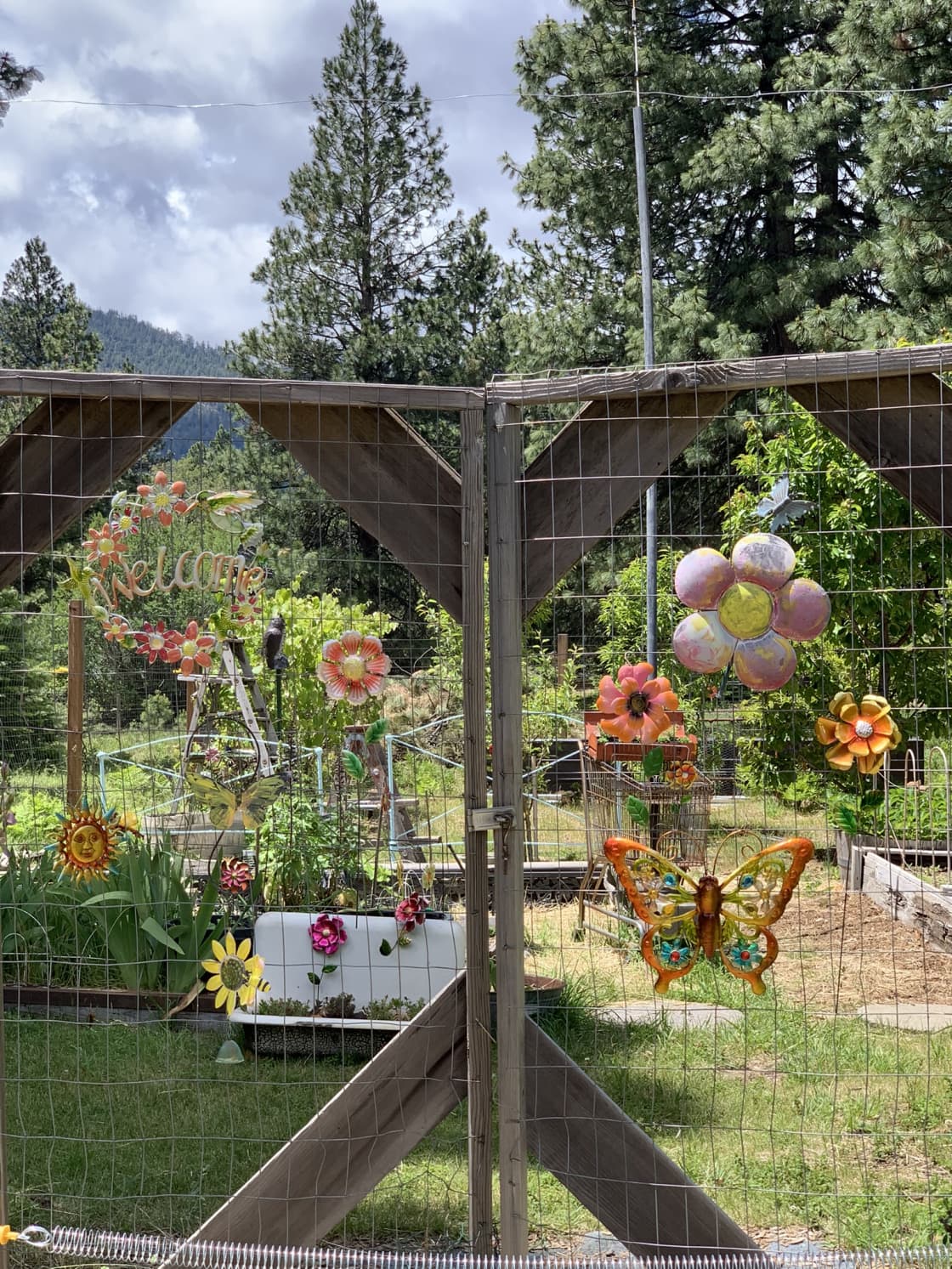 The Zinnia garden and orchard located at camp