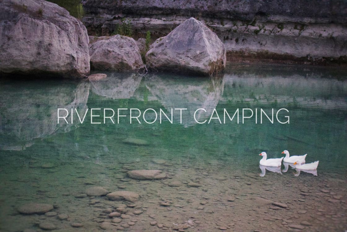 Embark on a riverfront camping adventure where the gentle murmur of the water becomes your soundtrack