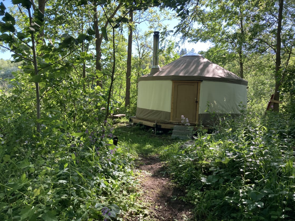 Lots of beautiful trees and nature to explore around the yurt.