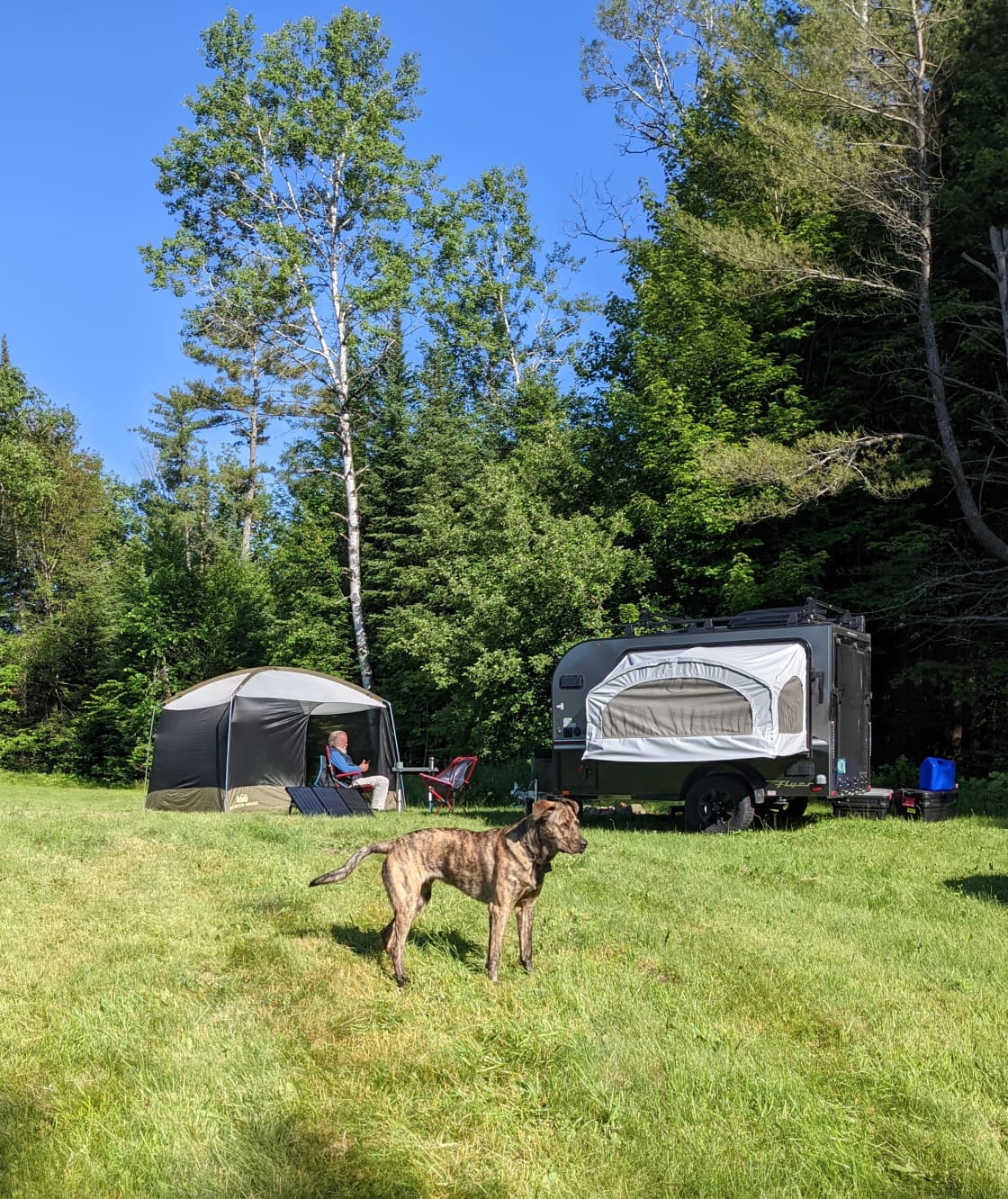 Private field and woods camping