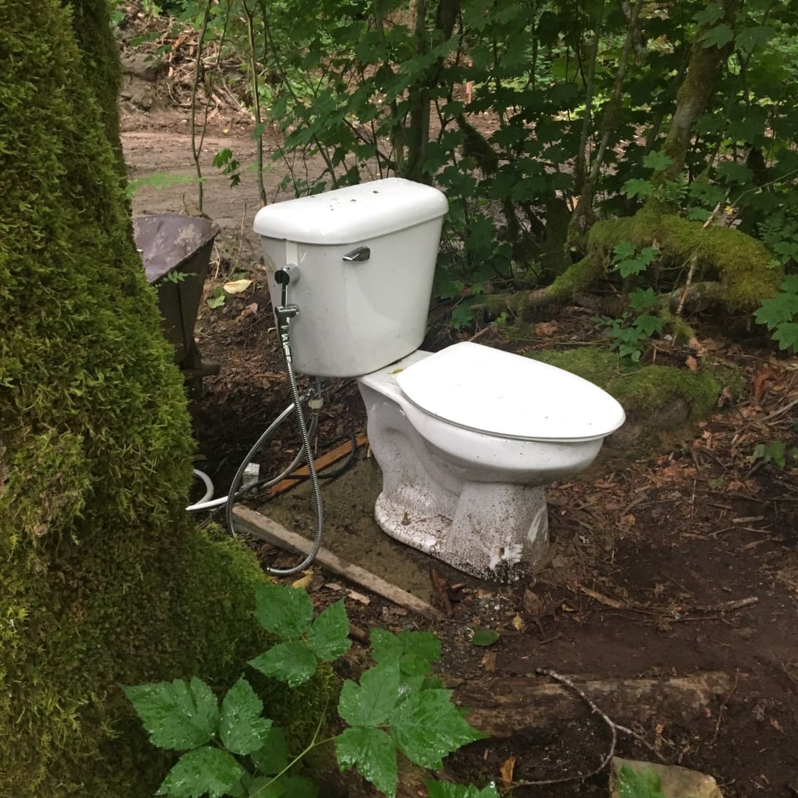 Forest Toilet (2020, installation)