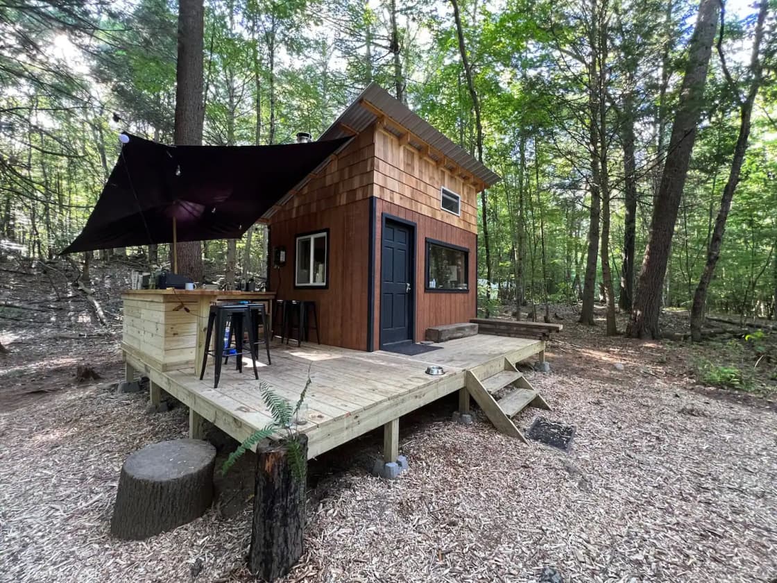 Cabin & outdoor kitchen
