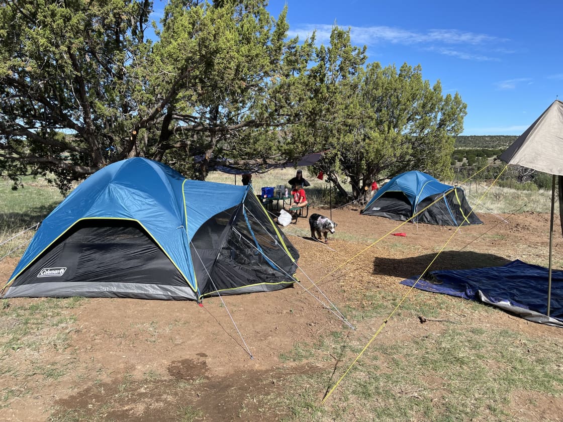 Two tents are allowed at each campsite.
