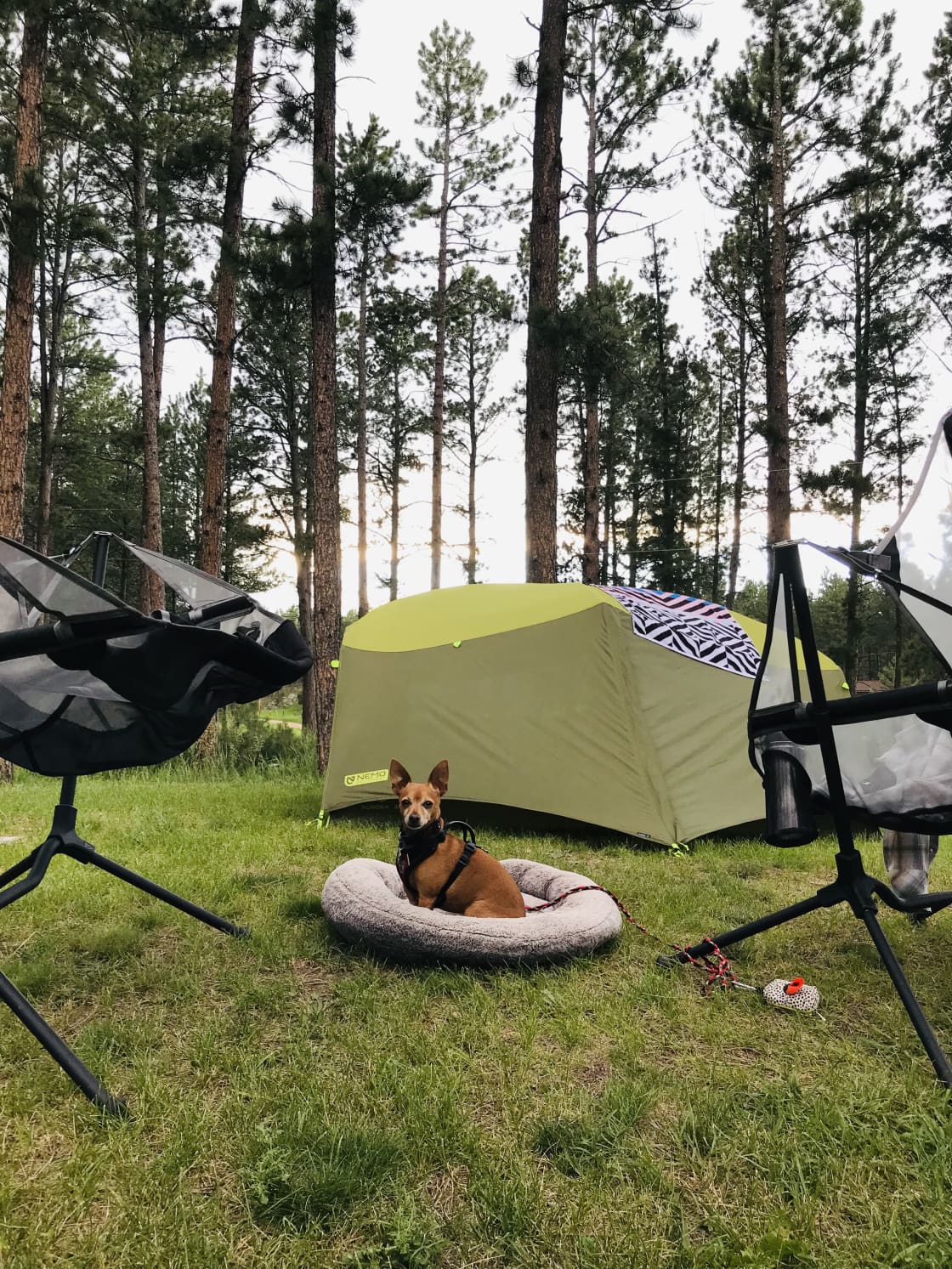 Our cozy tent spot. 
