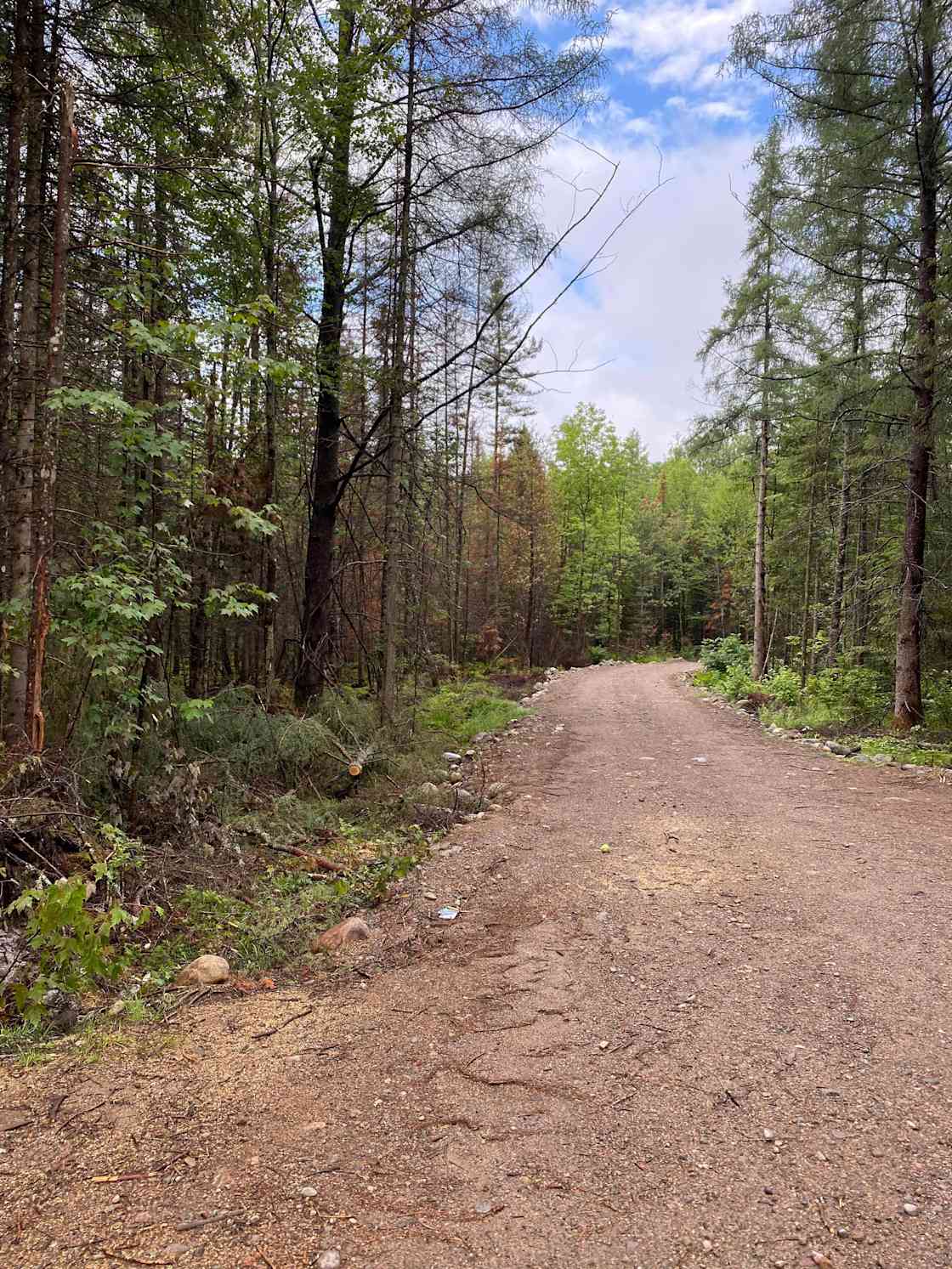 Bearview Farm Hipcamp in Mc Murrich/Monteith, Ontario