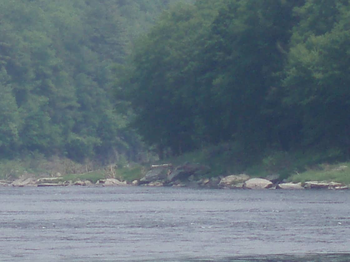 River site view