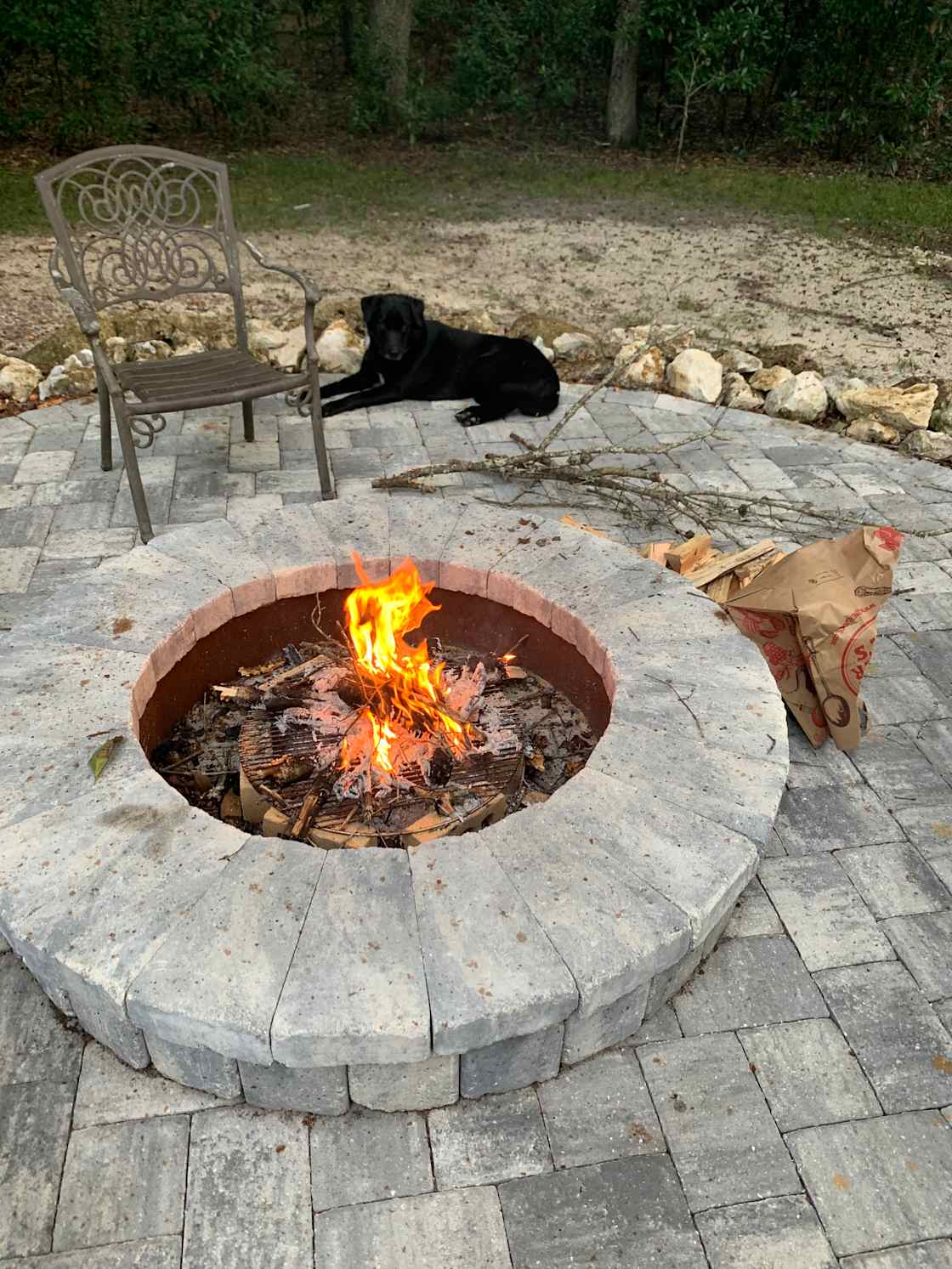 Tubing Hideaway in the woods Hipcamp in Fort White, Florida