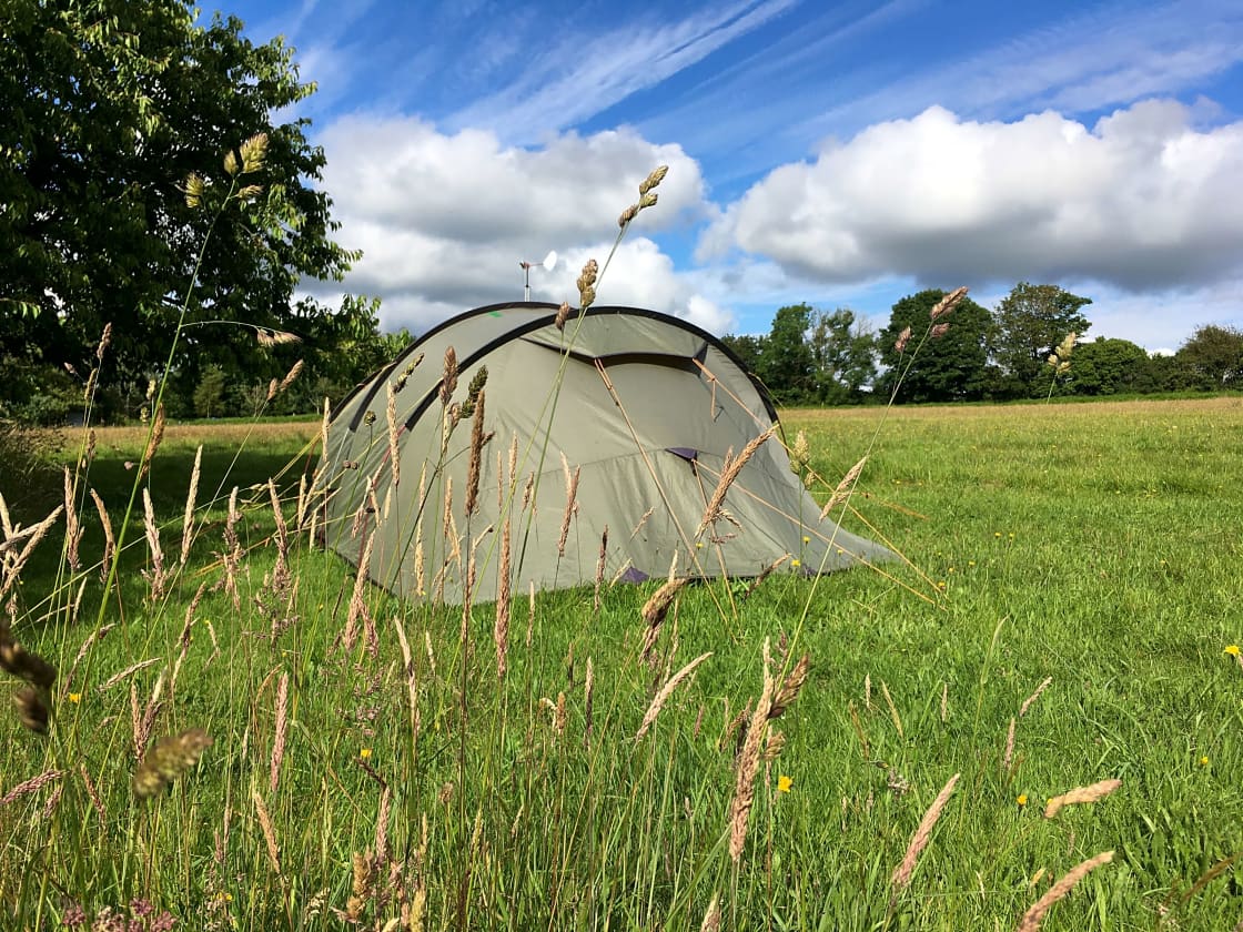Camping Meadow, looking East