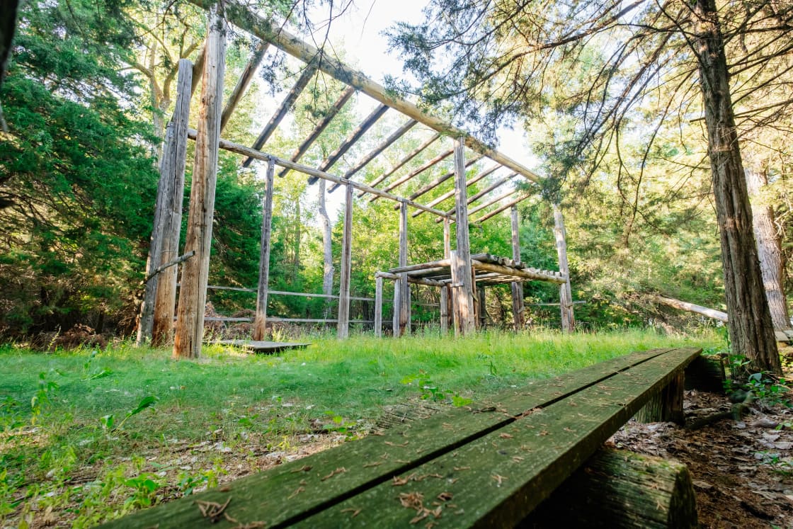Cabin frame in wooded tent site