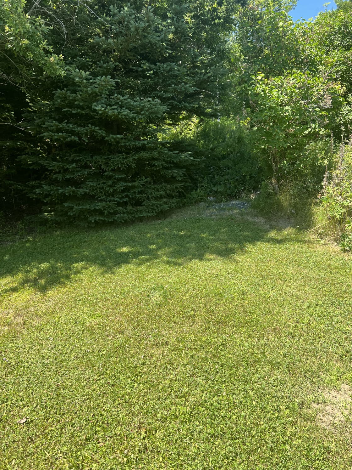 Site 2 - This property slopes downward slightly, but there is ample space for a tent, SUV, van or camper. It gets a lot of sun in the morning and shade in the evening. It is nearby the road but still has some privacy. 
