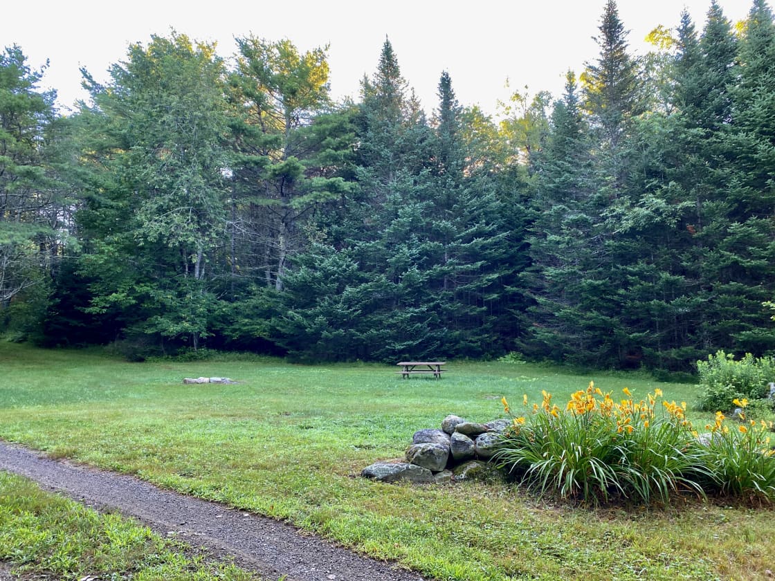 Woodchuck Acres Camping Field