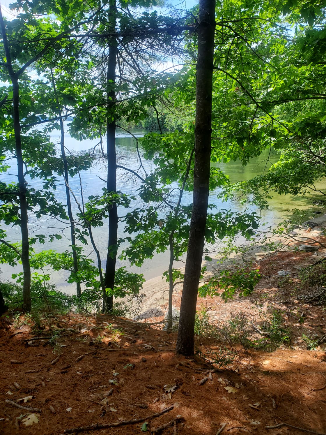 Lake Auburn Community Forest