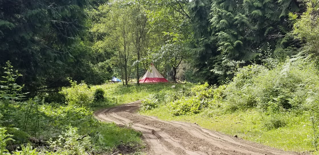 New gravel road on way to Buck Rub and Doe's rest campsites.