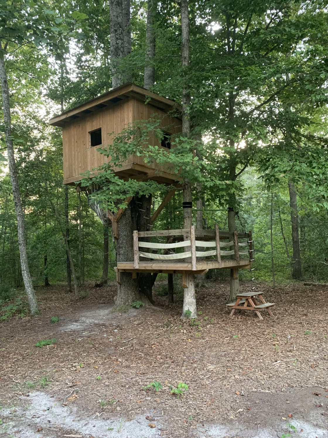 Treehouse, with zip line and fire hose hammock… ready for playtime! 