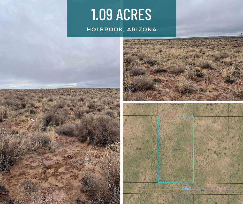 1.09 Acres in Apache County, Arizon