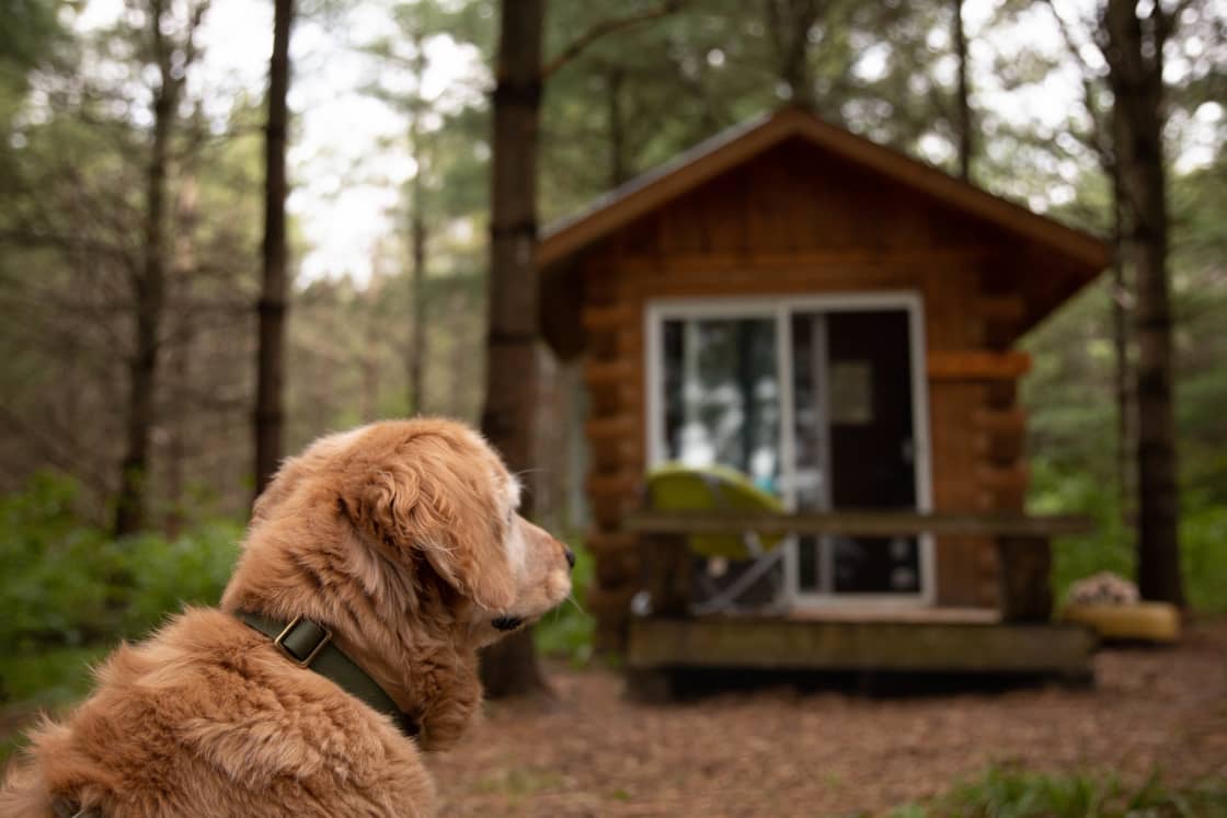 the bunkie blends right into the woods and stays cool in the heat