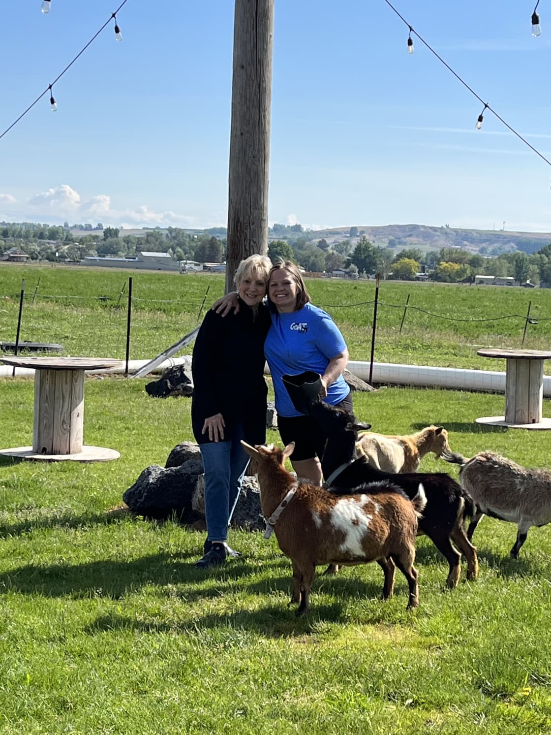 Idaho Goat Yard