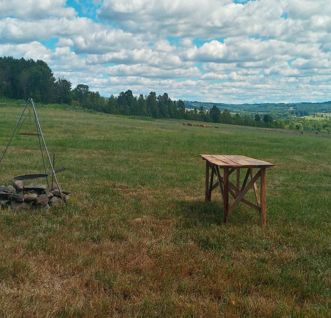 Enjoy a beautiful view of the Cherry Valley Hills from this campsite in the pasture.