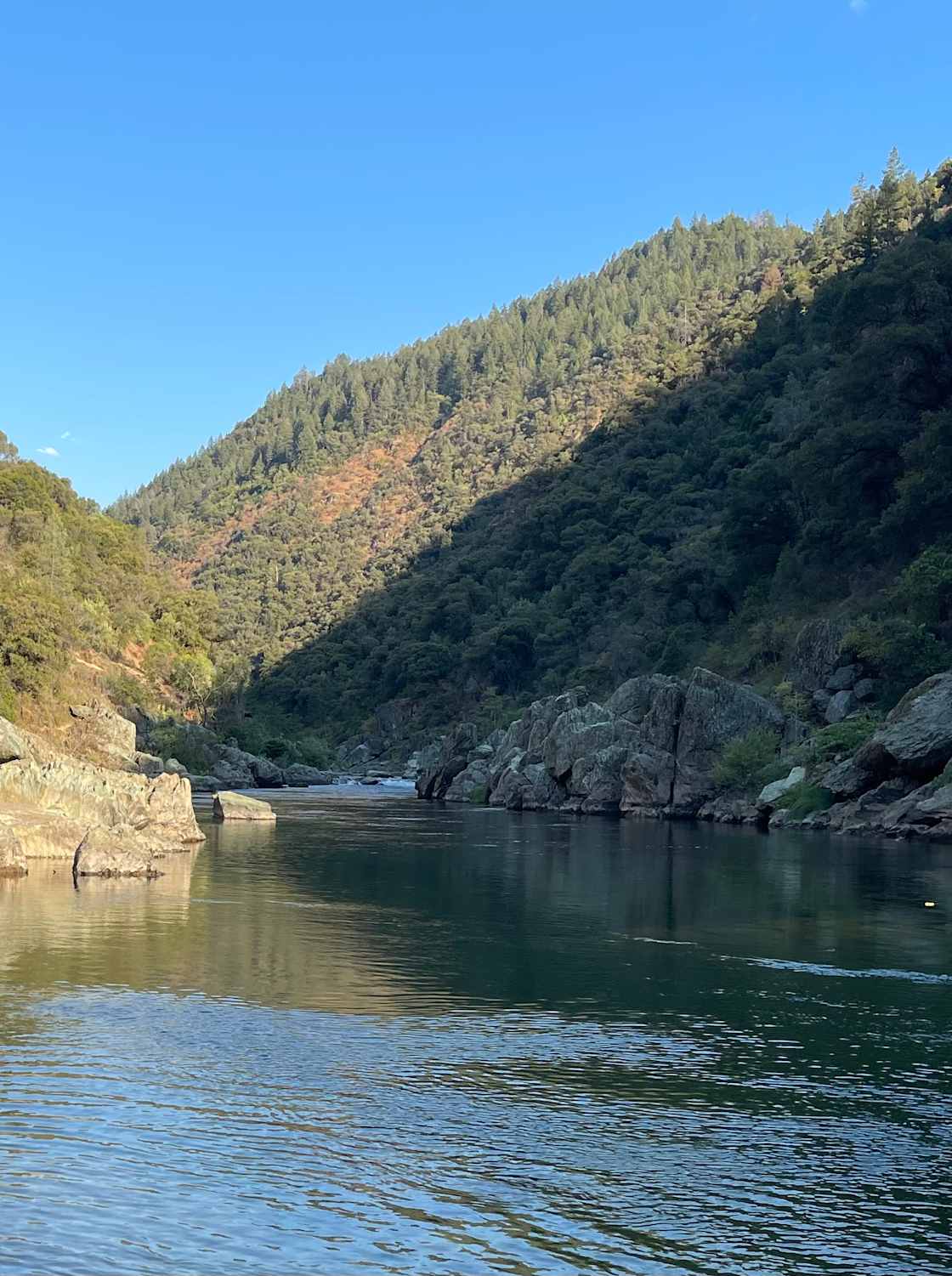 Super Pine Ranch Hipcamp in Foresthill, California