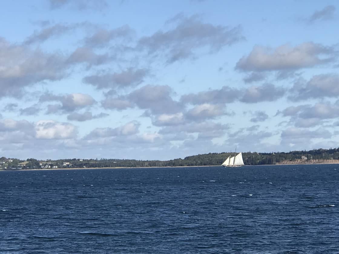 The Bluenose sailing past.