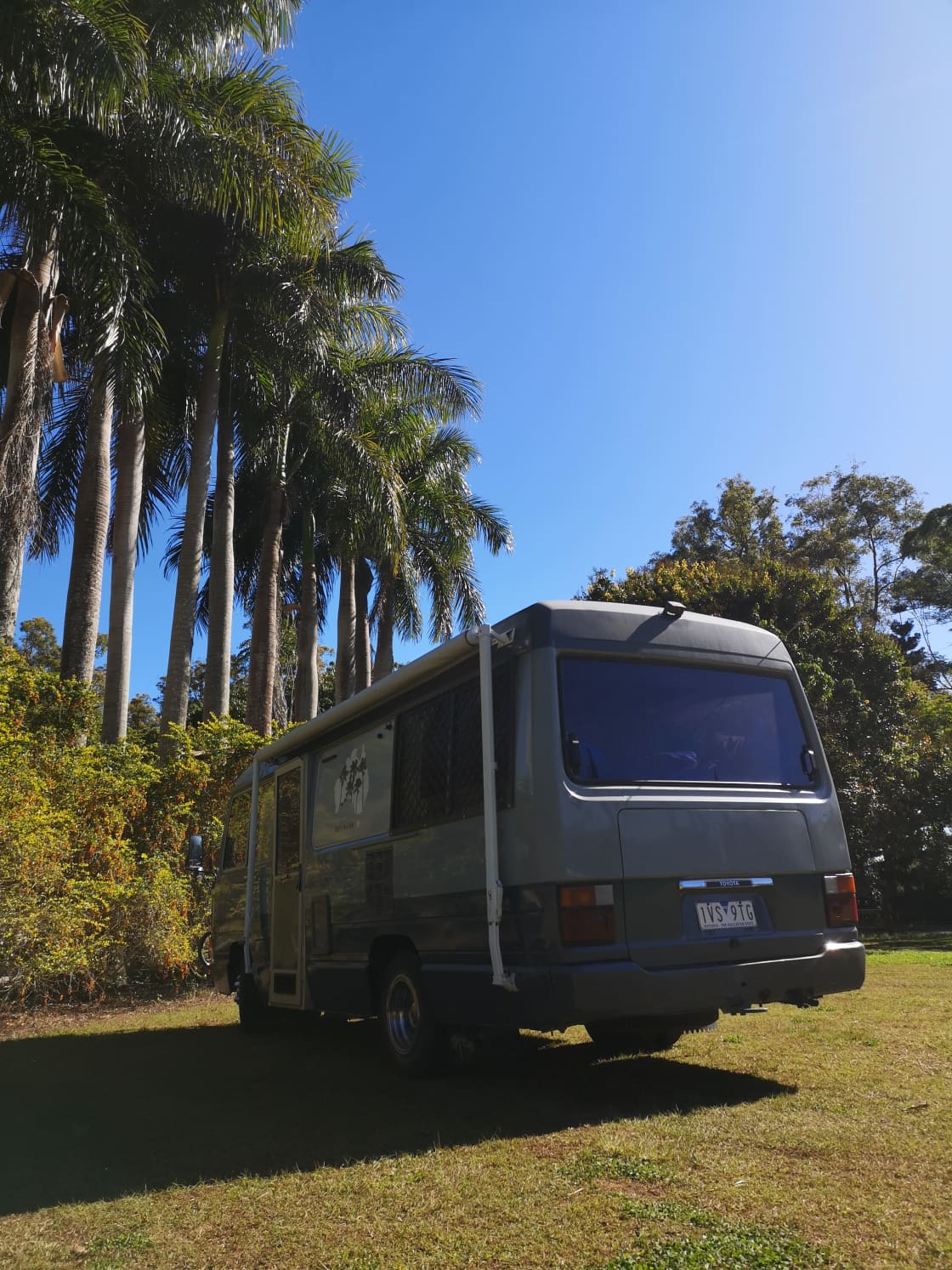 Parked up by the palms
