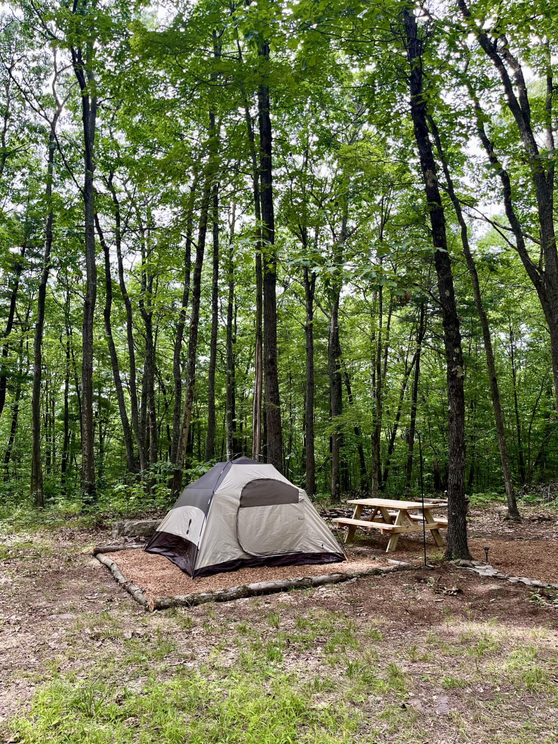 Your campsite