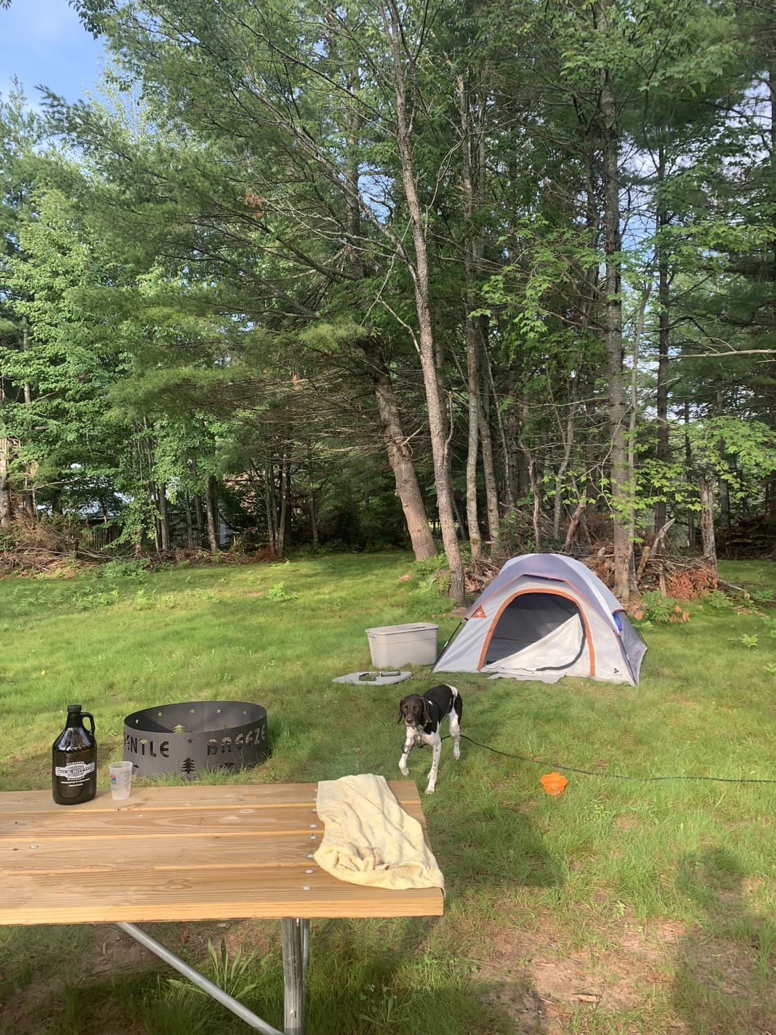 Gentle Breeze Camping