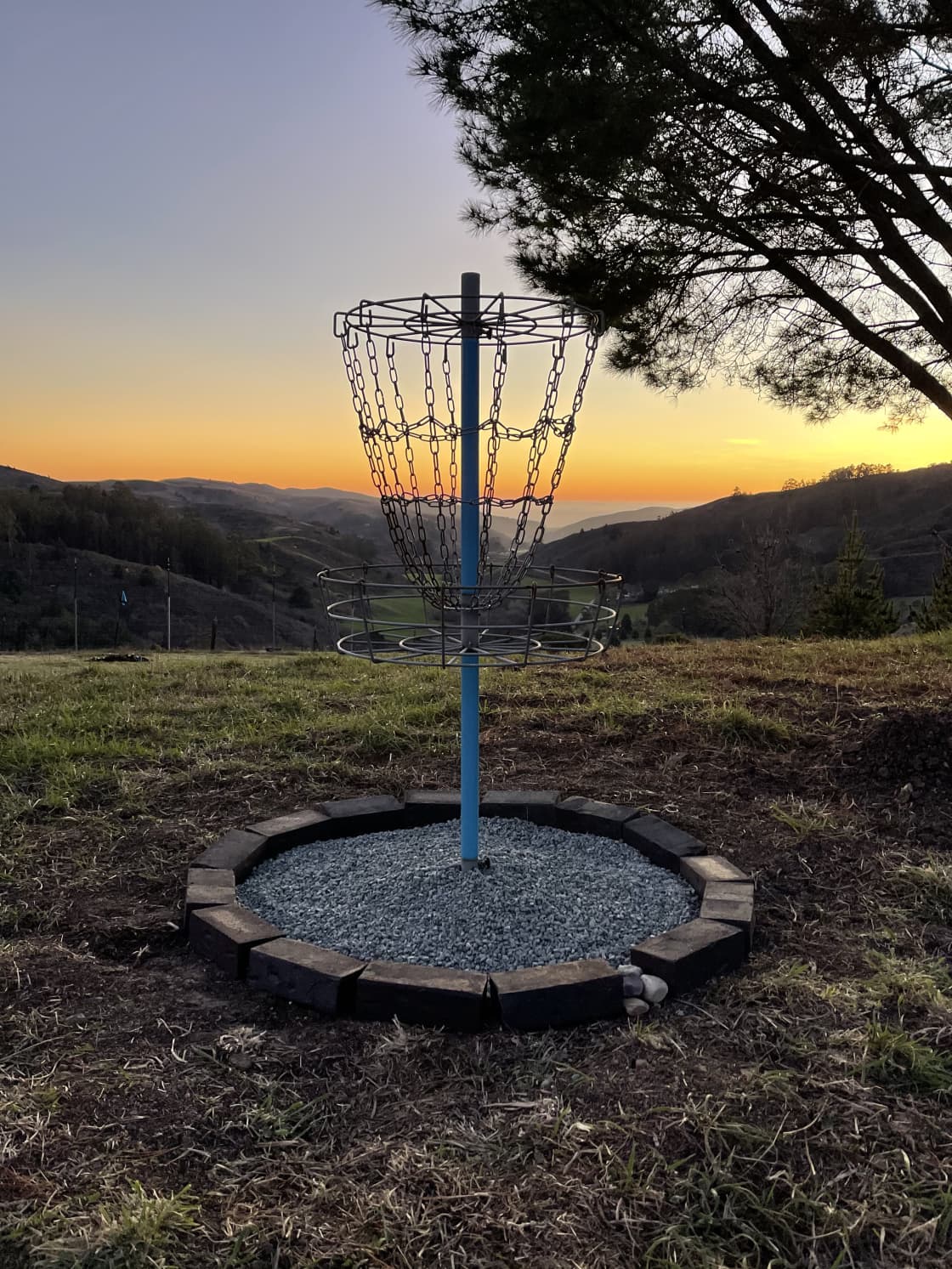 Frisbee golf at sunset anyone?