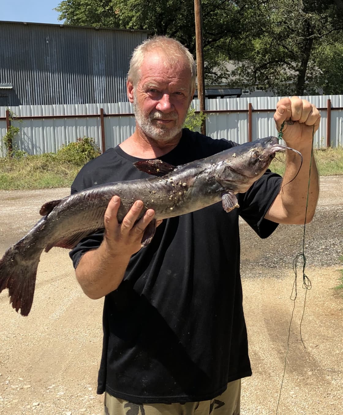 Catfish caught on livers at the doc at cisco lake rentals 