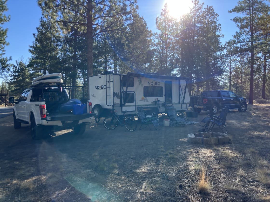 Trout Pines Camping