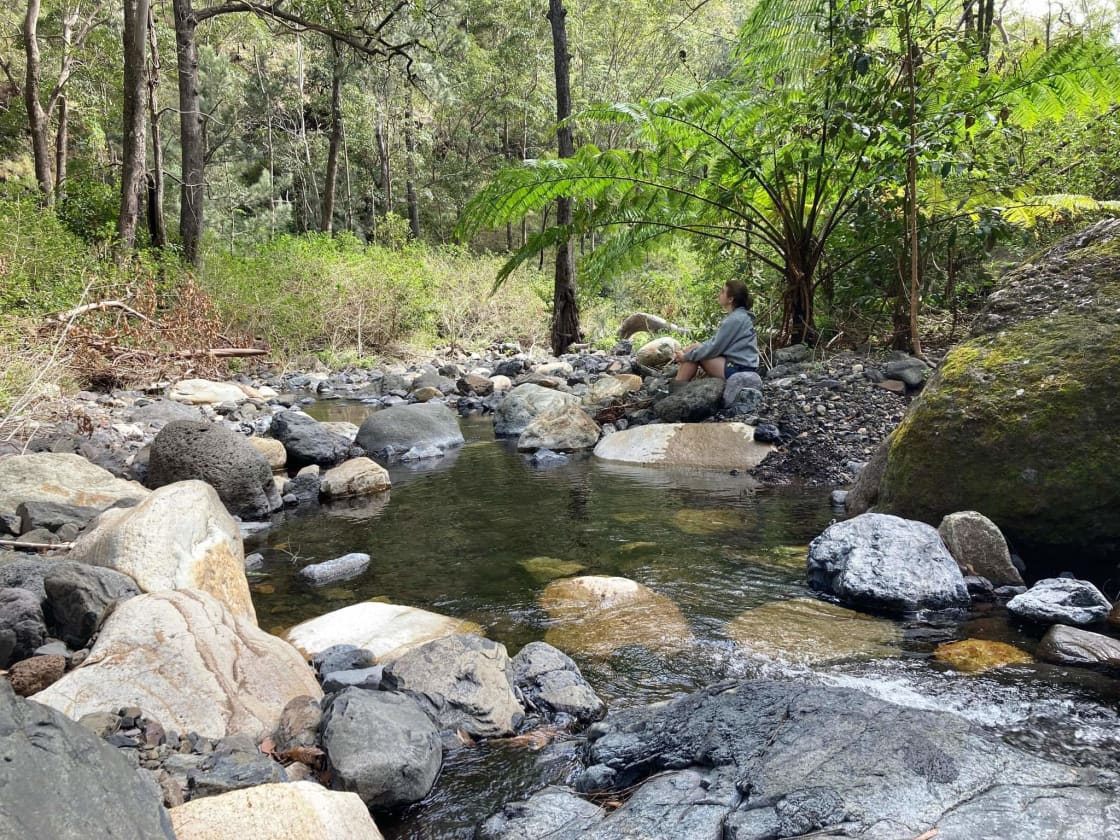 Sit down on a rock and enjoy the quiet bubble of pristine creek water and bird song (photo from Basin Rock Hole walk)
