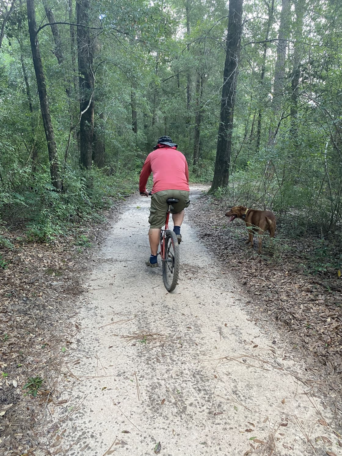 Trails are good for biking too!