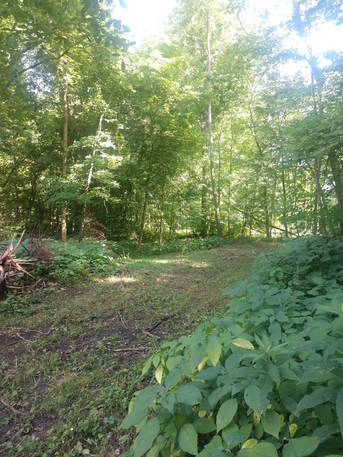 Path leading to the back of property 