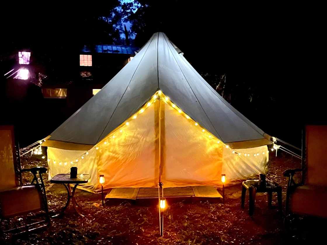 Purradise Springs Hipcamp in Fort White, Florida