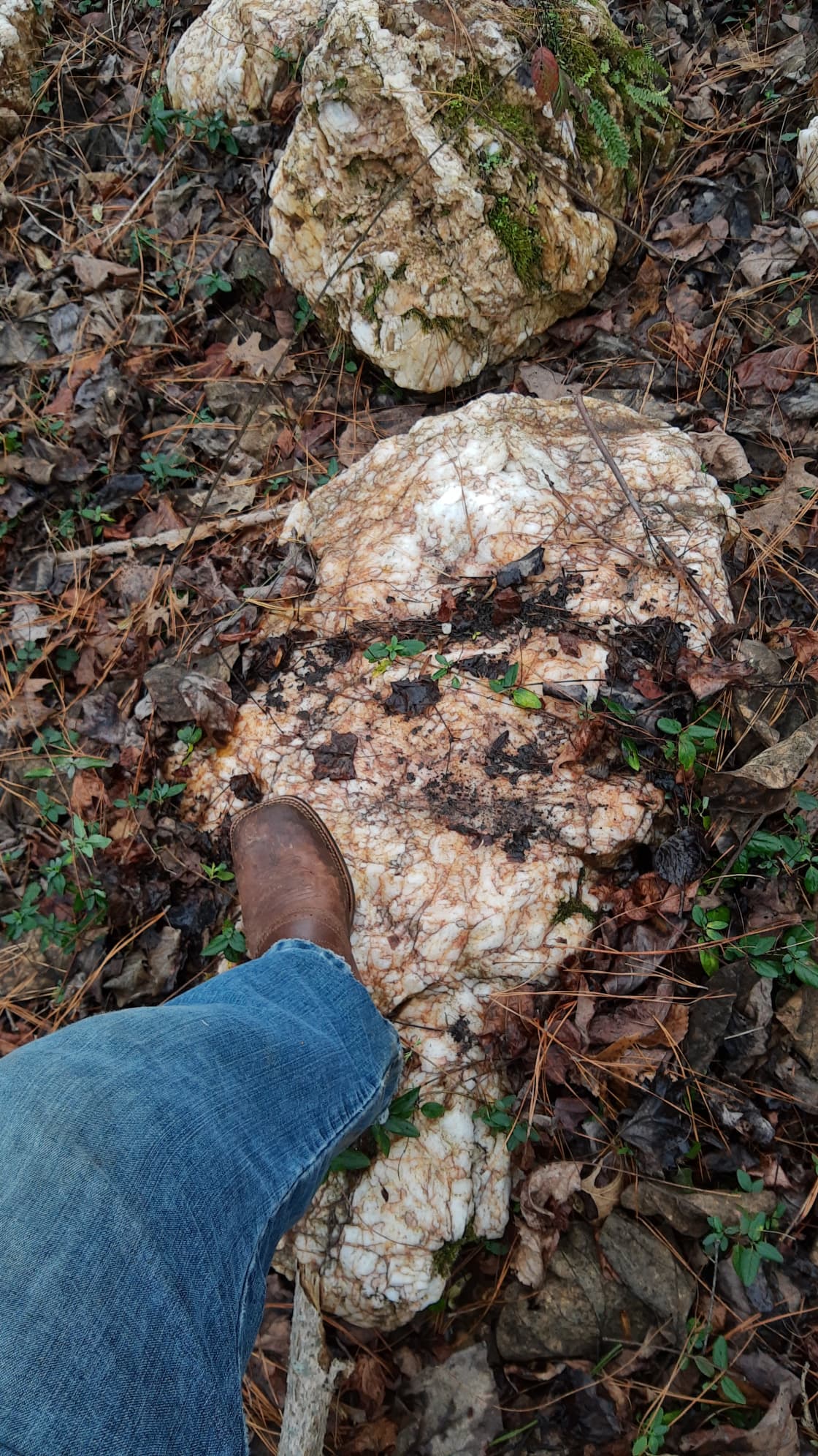Large quartz rocks down the back of the hill 