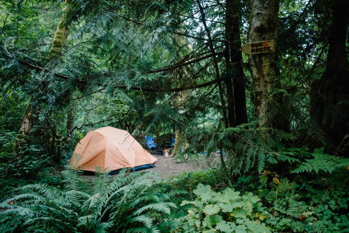 Tent spot