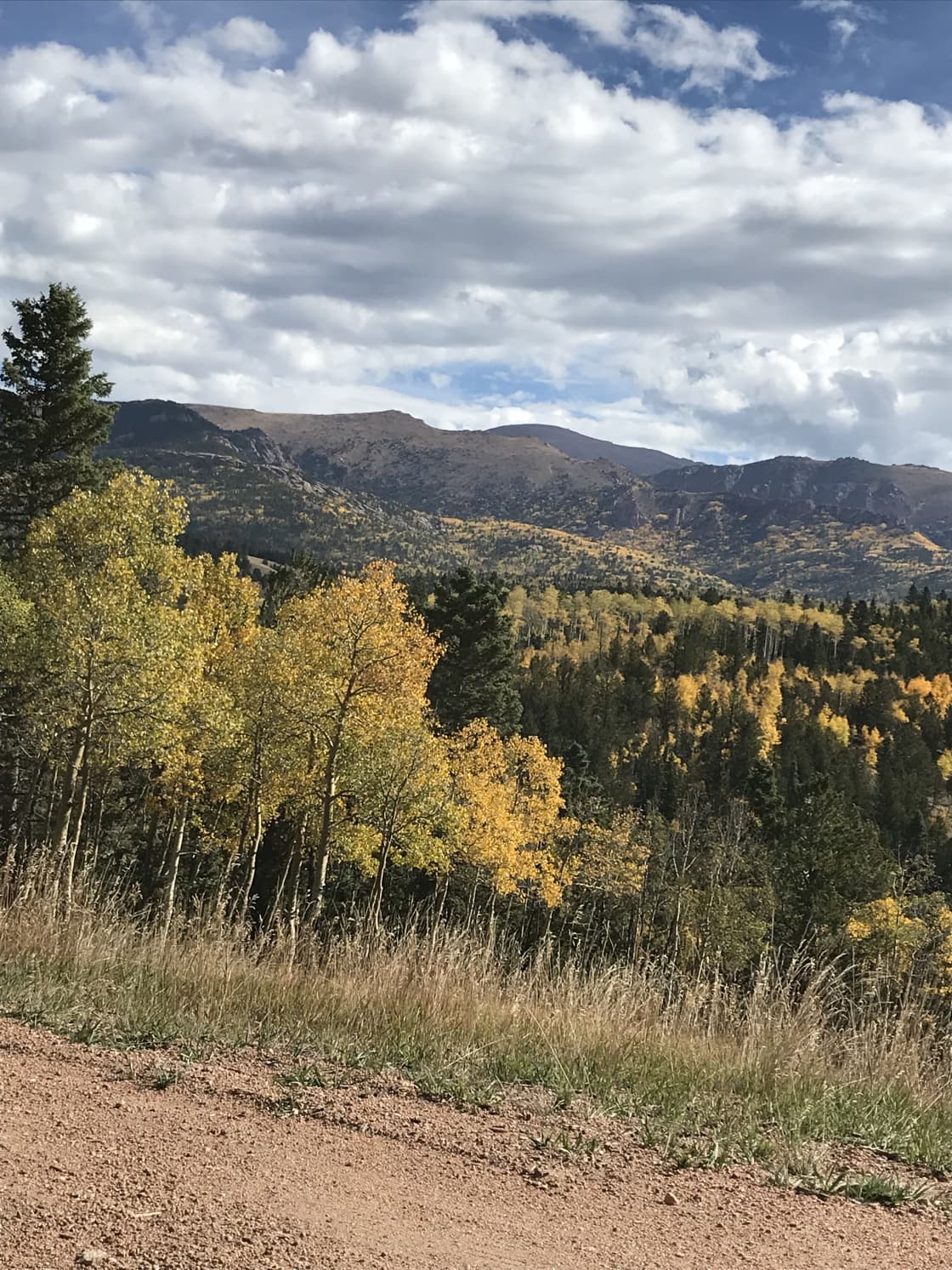 Fall colors with Pikes Peak in background.   Taken nearby property
