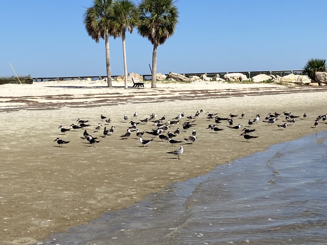 Enjoy nature and tranquility at Keaton Beach, just 6.6 miles away.