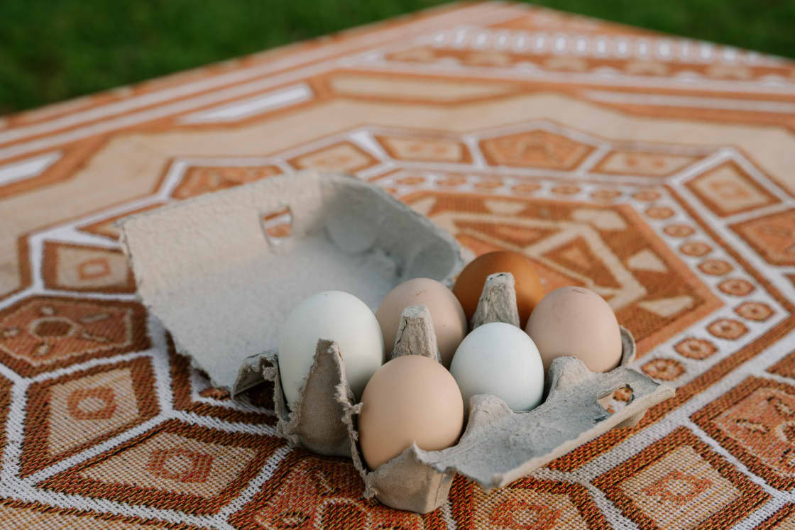 Fresh eggs from all the different chickens! 