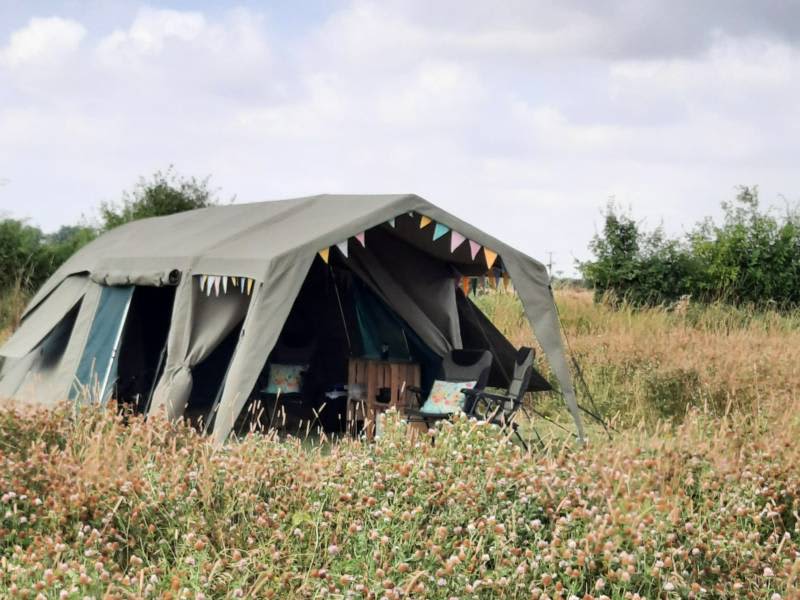 Safari Tent in our Wildflower Meadow