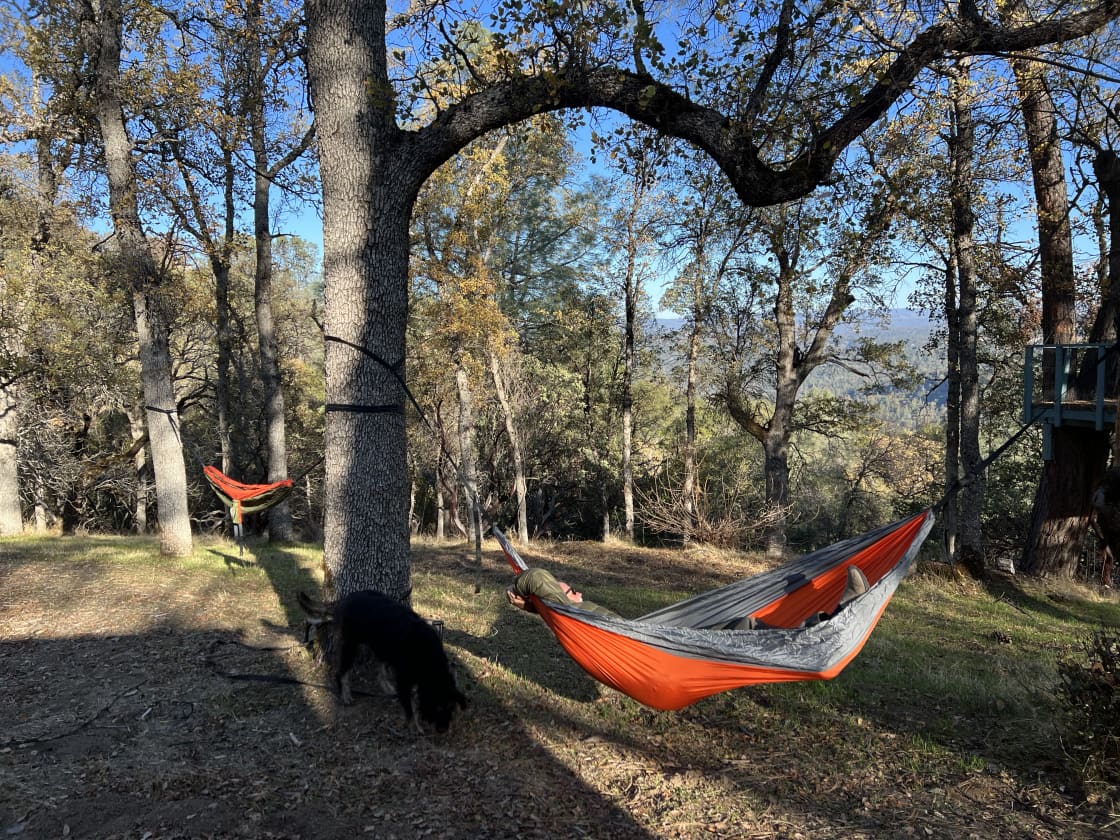 Sierra Camping Experience