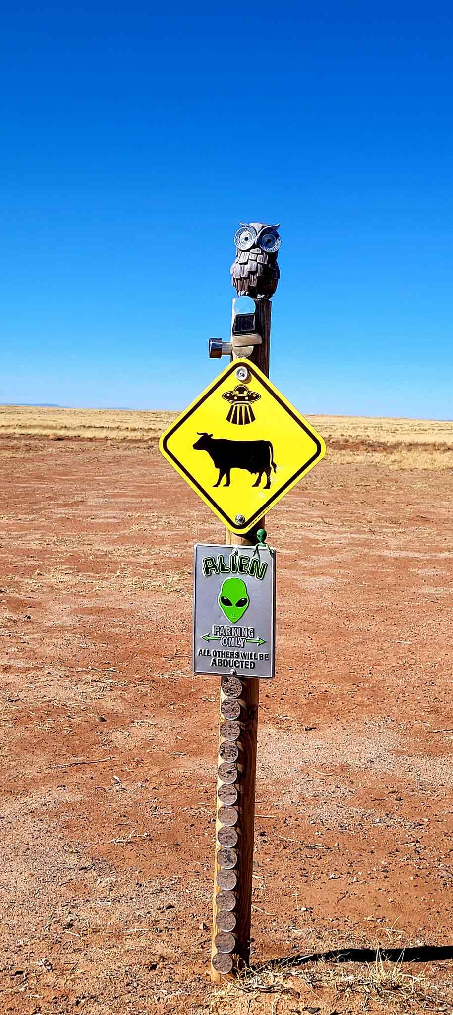Alien Acres - Photo 2