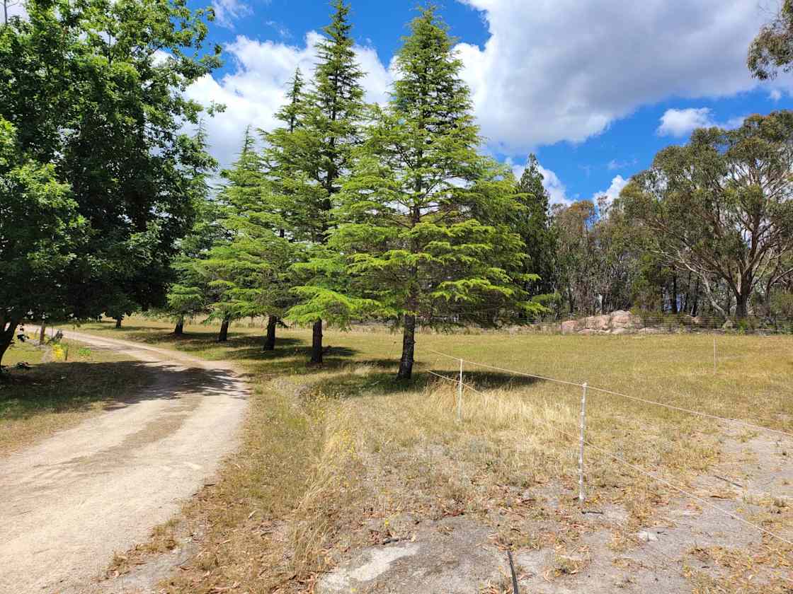 Gungarra Gardens - Scott's Corner - Photo 3