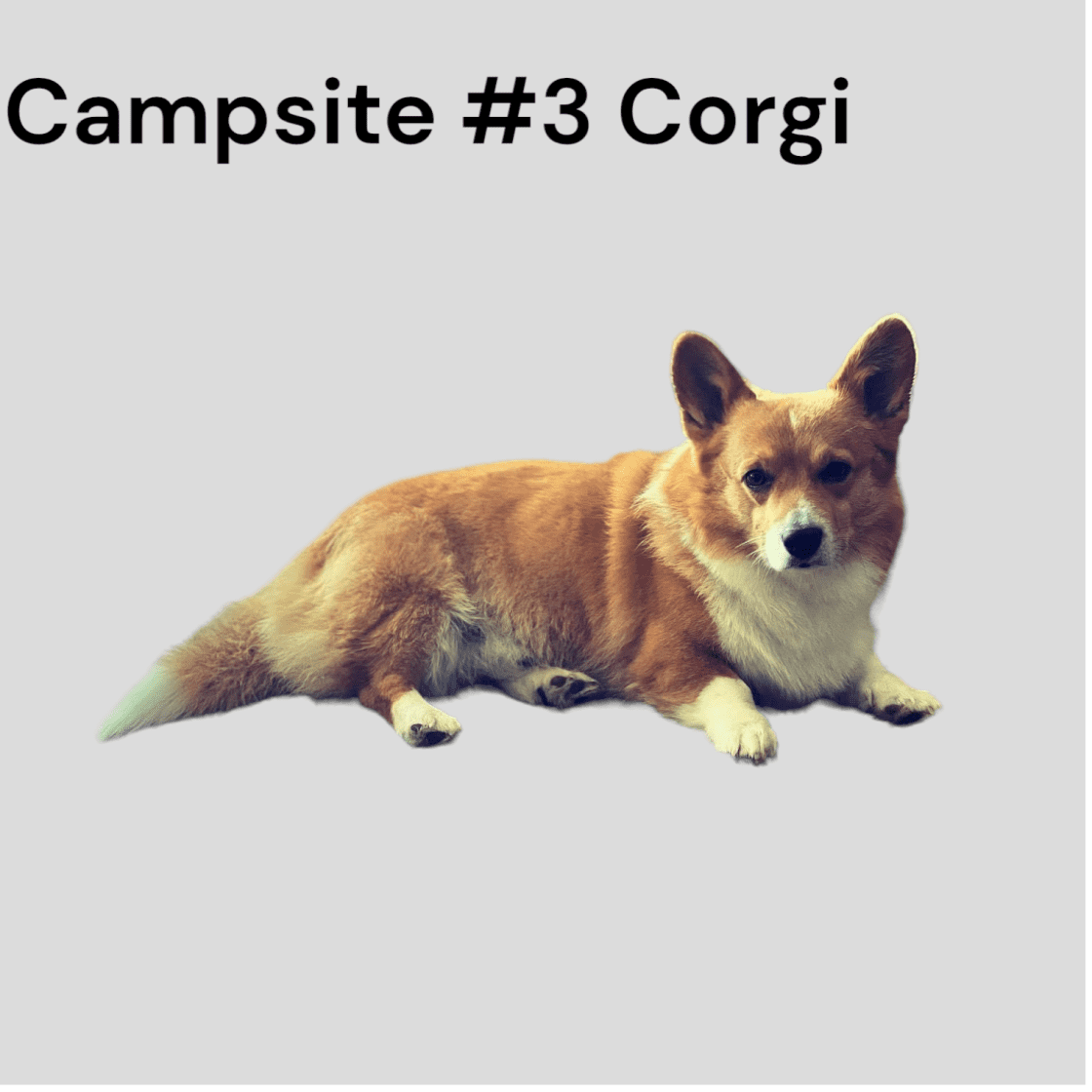 Campsite #3 Corgi