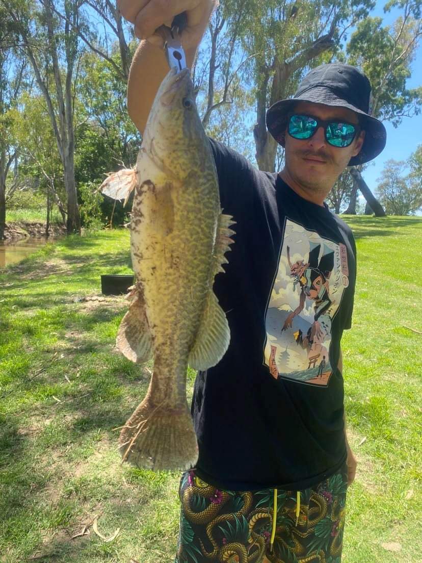 Murray cod caught on property