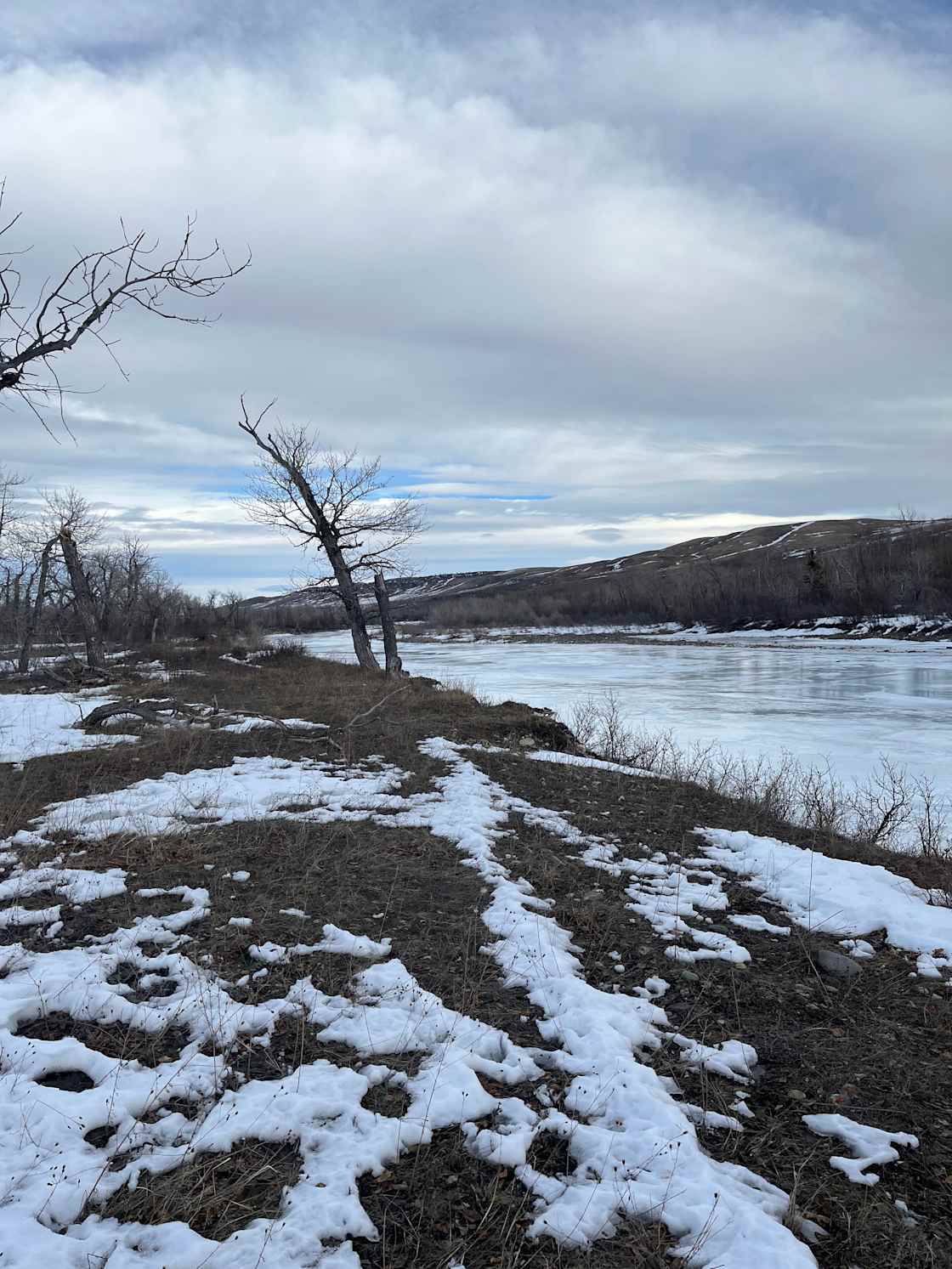 Hook's Hideaway Campground Hipcamp in Babb, Montana