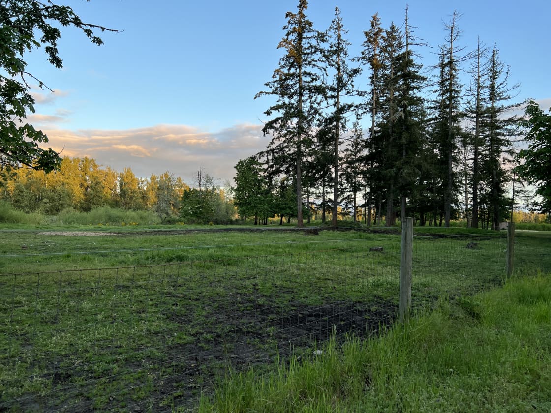 Cowgirl Creek Ranch - Hipcamp in Aumsville, Oregon